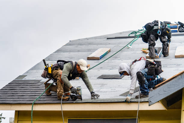 Professional Roof Installation technician working in Warnock, OH